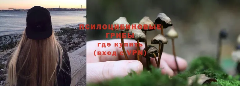 Галлюциногенные грибы MAGIC MUSHROOMS  даркнет сайт  Камешково 